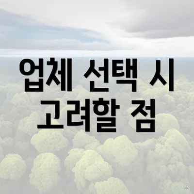 업체 선택 시 고려할 점