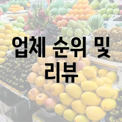 업체 순위 및 리뷰