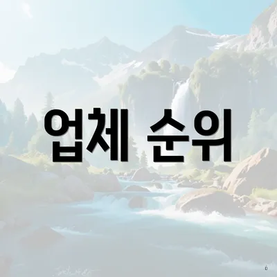 업체 순위