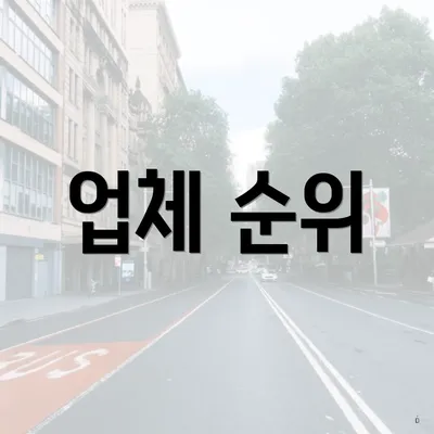 업체 순위