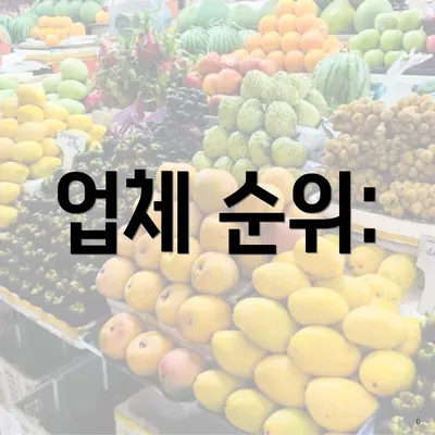 업체 순위: