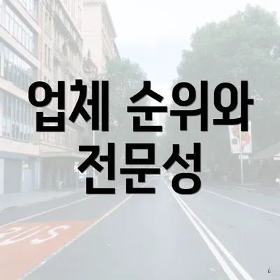 업체 순위와 전문성