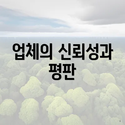 업체의 신뢰성과 평판