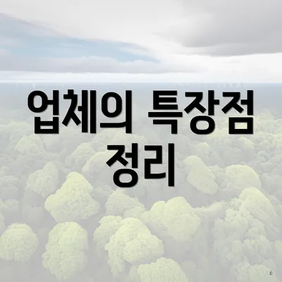 업체의 특장점 정리