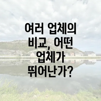 여러 업체의 비교, 어떤 업체가 뛰어난가?