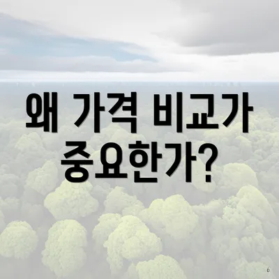 왜 가격 비교가 중요한가?