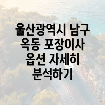 울산광역시 남구 옥동 포장이사 옵션 자세히 분석하기