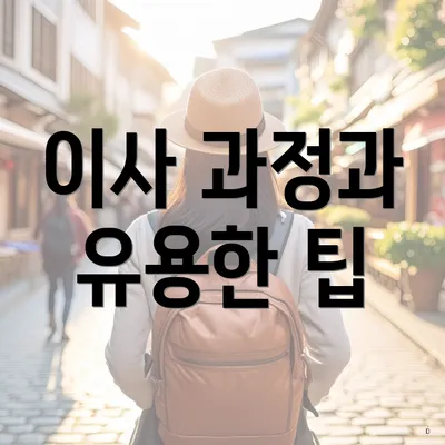 이사 과정과 유용한 팁