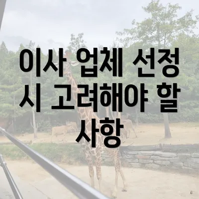 이사 업체 선정 시 고려해야 할 사항