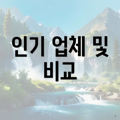 인기 업체 및 비교