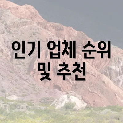 인기 업체 순위 및 추천