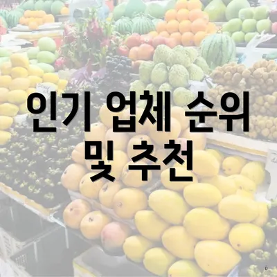 인기 업체 순위 및 추천