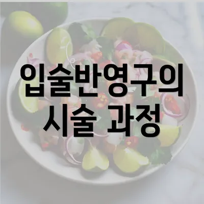 입술반영구의 시술 과정