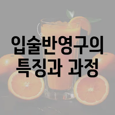 입술반영구의 특징과 과정