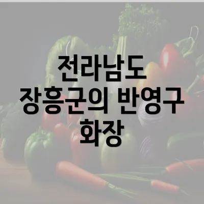 전라남도 장흥군의 반영구 화장