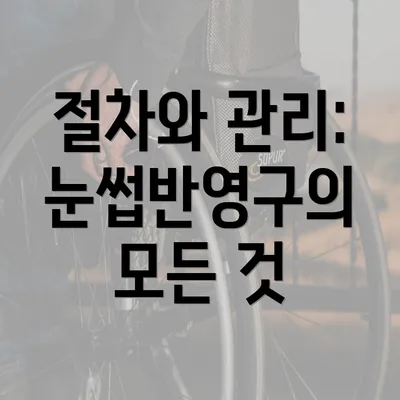 절차와 관리: 눈썹반영구의 모든 것