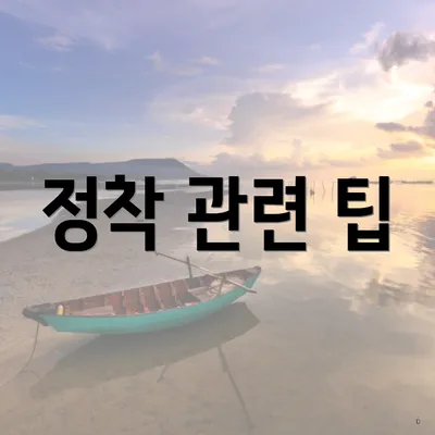 정착 관련 팁