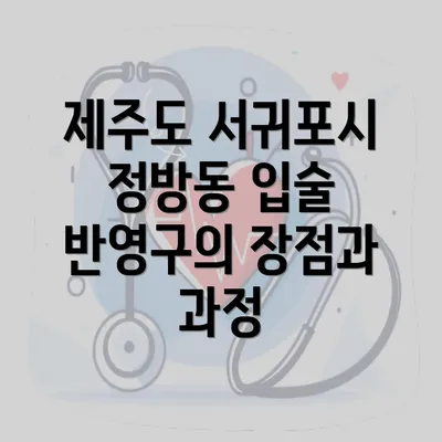 제주도 서귀포시 정방동 입술 반영구의 장점과 과정