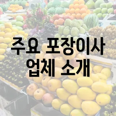 주요 포장이사 업체 소개