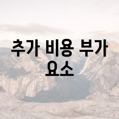 추가 비용 부가 요소