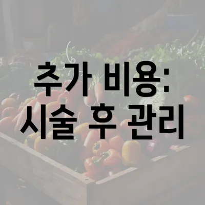 추가 비용: 시술 후 관리