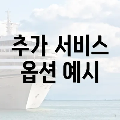 추가 서비스 옵션 예시