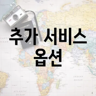 추가 서비스 옵션