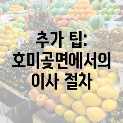 추가 팁: 호미곶면에서의 이사 절차