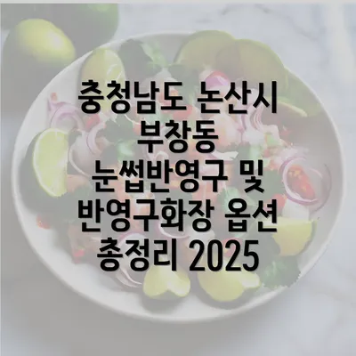 충청남도 논산시 부창동 눈썹반영구 및 반영구화장 옵션 총정리 2025