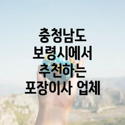 충청남도 보령시에서 추천하는 포장이사 업체