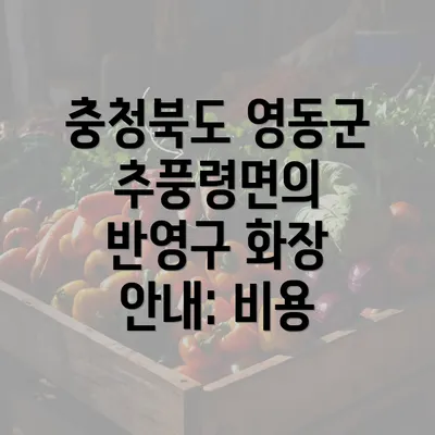 충청북도 영동군 추풍령면의 반영구 화장 안내: 비용