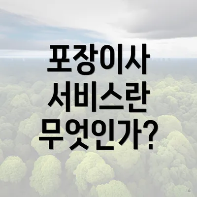 포장이사 서비스란 무엇인가?