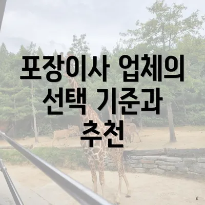 포장이사 업체의 선택 기준과 추천