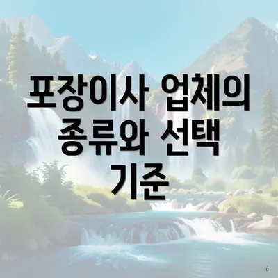 포장이사 업체의 종류와 선택 기준