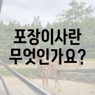 포장이사란 무엇인가요?