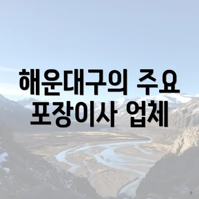 해운대구의 주요 포장이사 업체