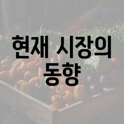 현재 시장의 동향