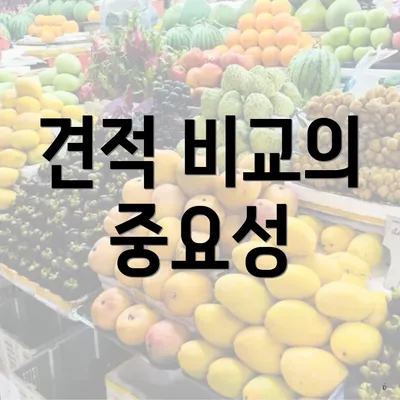 견적 비교의 중요성