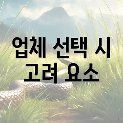 업체 선택 시 고려 요소