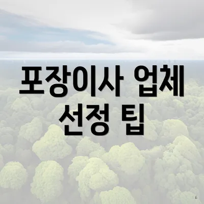 포장이사 업체 선정 팁