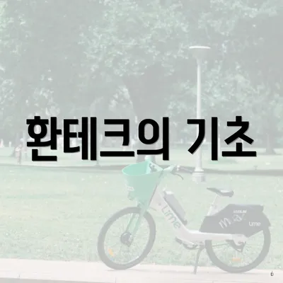 환테크의 기초